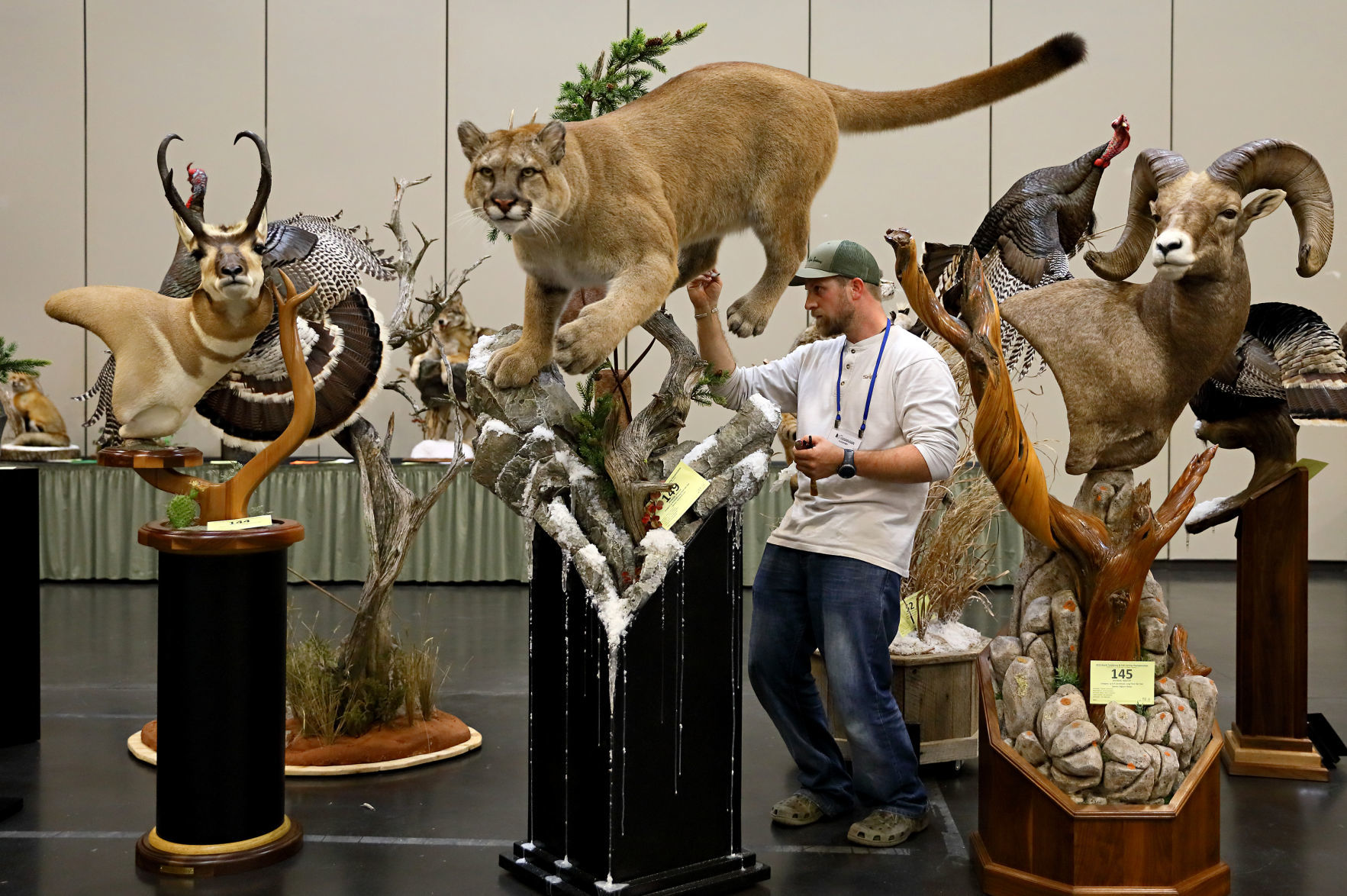 2019 World Taxidermy & Fish Carving Championships in Springfield, Mo.